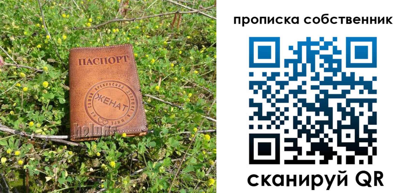 временная регистрация в Новотроицке